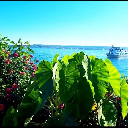 Rodtsches Palais 8 Appartement *