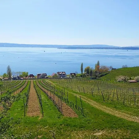 Appartement Rodtsches Palais 8 Meersburg