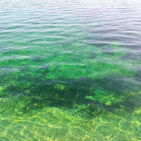 Appartement Rodtsches Palais 8 *