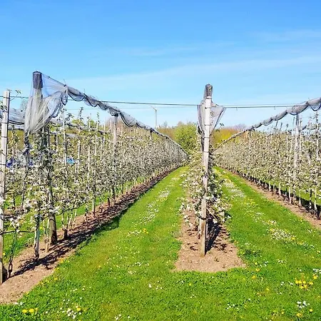 Appartement Rodtsches Palais 8 Meersburg